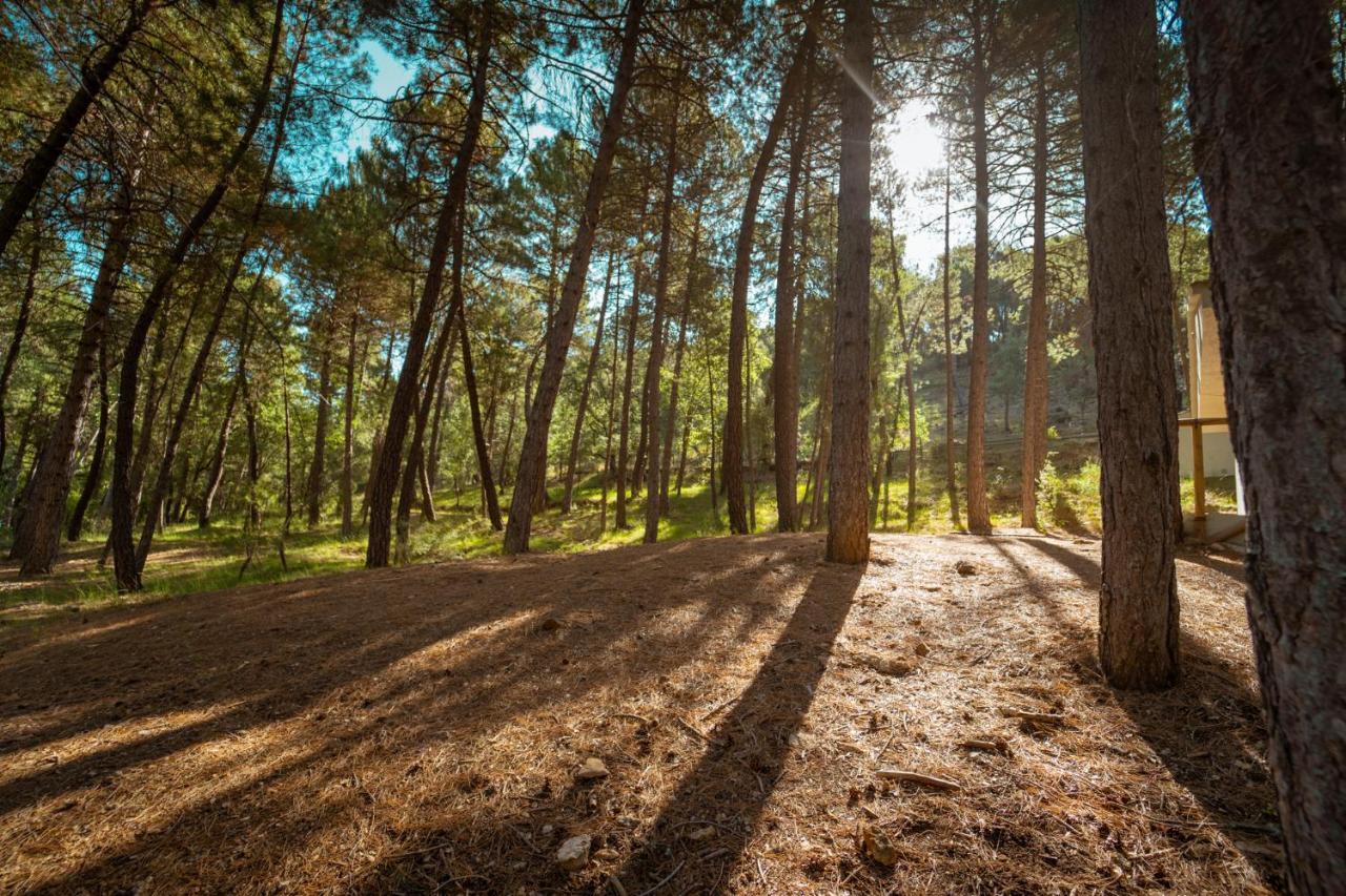 Kampaoh Cazorla Otel Casa El Valle Dış mekan fotoğraf